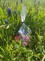 Alle Osternester weg!