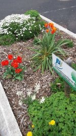 Frohe Pfingstfeiertage