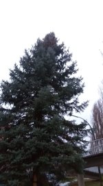 Grauer Adventsauftakt