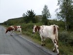 Mit der CSU im kommenden Jahr nach Norwegen