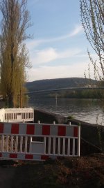 Nachwuchs an der Mainl&auml;nde