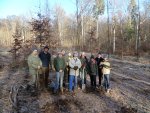 Pflanzaktion - Engagement f&uuml;r den Margetsh&ouml;chheimer Wald