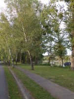 Verkehrstechnische Erschlie&szlig;ung des neuen Mainstegs